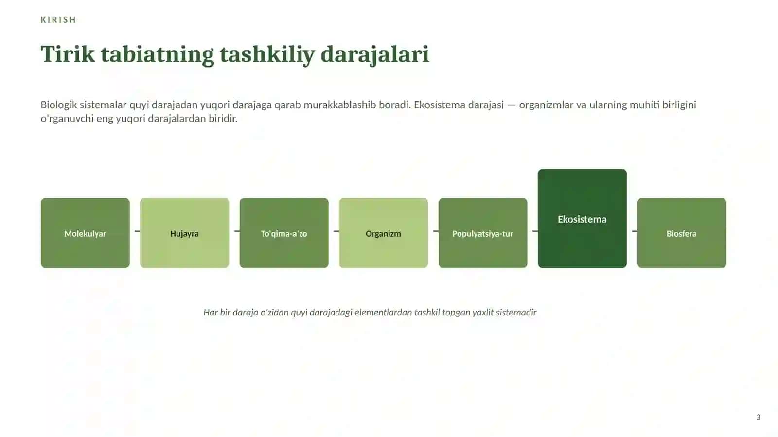 Hayotning ekosistema darajasi xususiyatlari 3