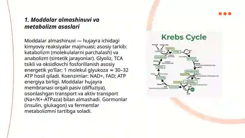 Moddalar va energiya almashinuvi fiziologiyasi 3