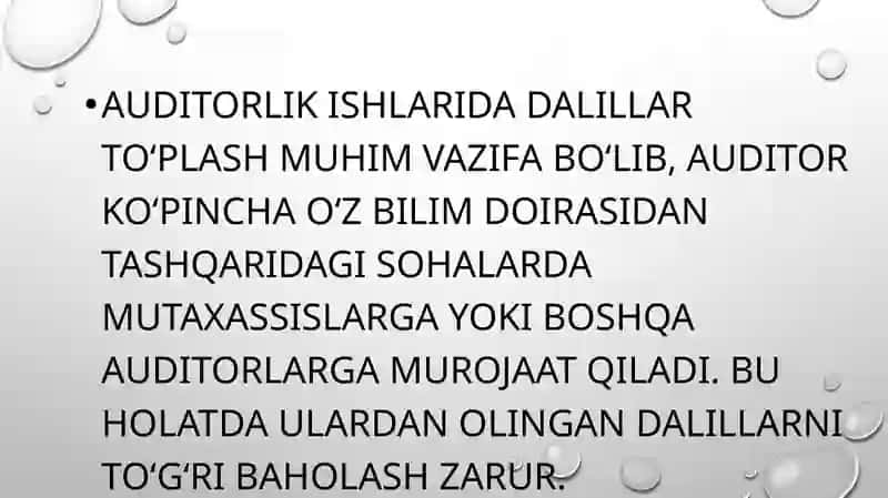 Auditda export xizmatidan foydalanish 3