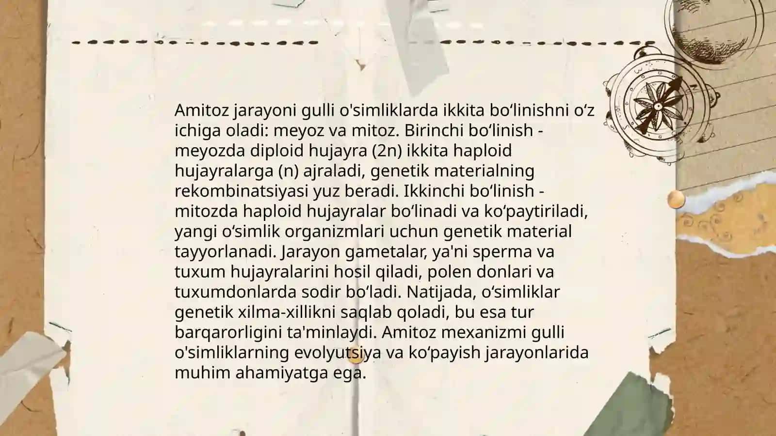 Amitoz, mitoz va meyozning ahamiyati 3