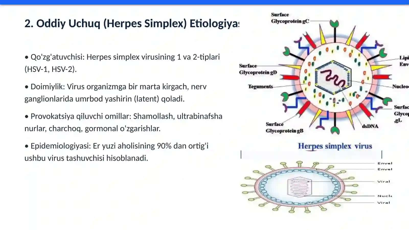 Terining Virusli Kasalliklarida Hamshiralik Ishi 3