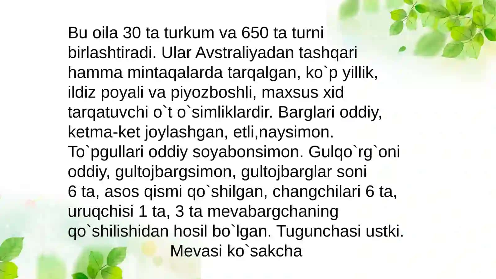 Piyozdoshlar oilasini turkum turlari 3