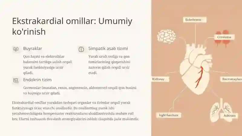 Yurak ishi yetishmovchiligida kompensatsiyaning ekstrakardial omillari 3