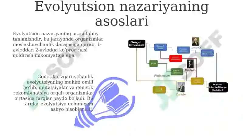 Evolyutsion ta'limot va jamiyat. Evolyutsiya nazariyasining muammoli masalalari 3