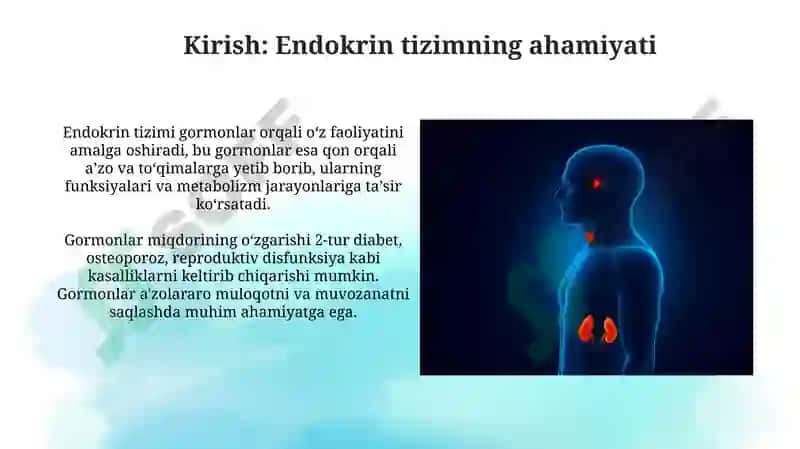 Endokrinsistemasiniyoshgabog'liqxususiyatlari 3