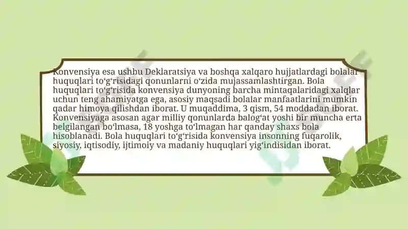 Bolalar Huquqlari To'g'risidagi Konvensiya 3