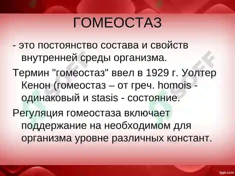 Qon tizimi 3