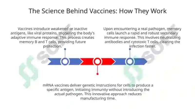 Vaccination and Immunity 3
