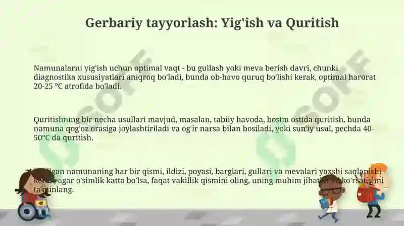 Gerbariy tayyorlash va tayyorlash usullari 3