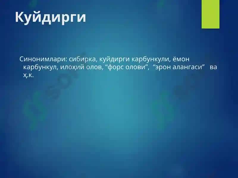 Куйдирги 3