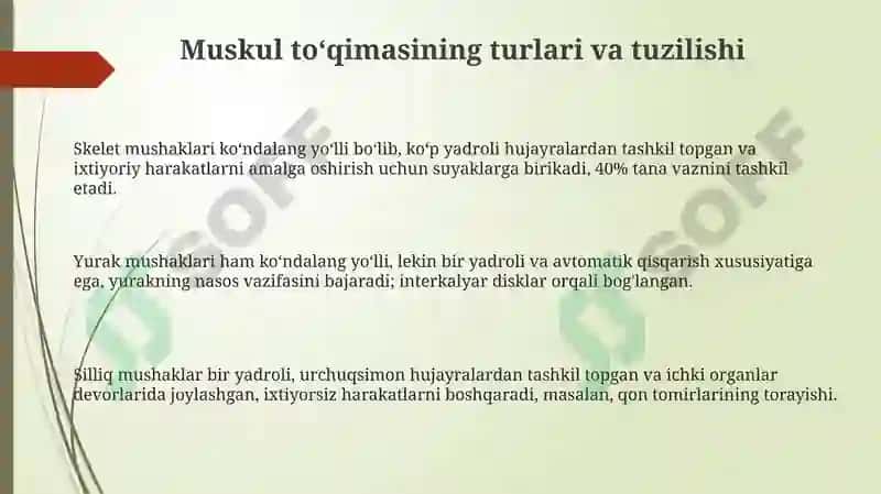 Muskul toʻqimasining turlari va tuzilishi 3