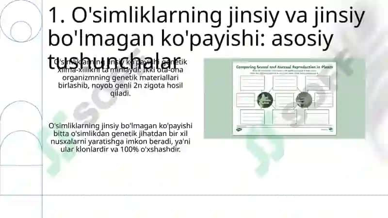 O'simliklarning jinsiy va jinssiz ko'payish 3