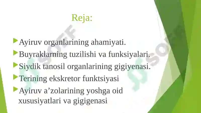 Ayiruv tizimining yoshga oid fiziologiyasi va gigienasi 3
