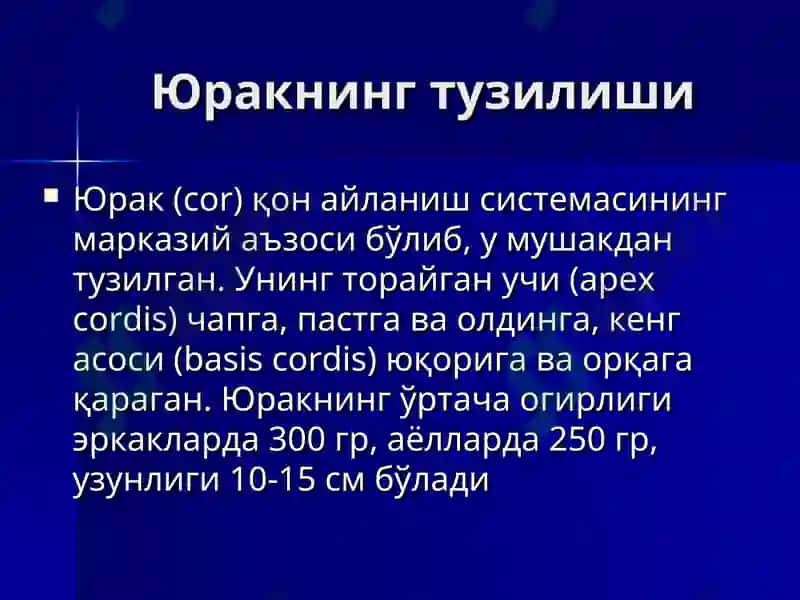 Юрак 3