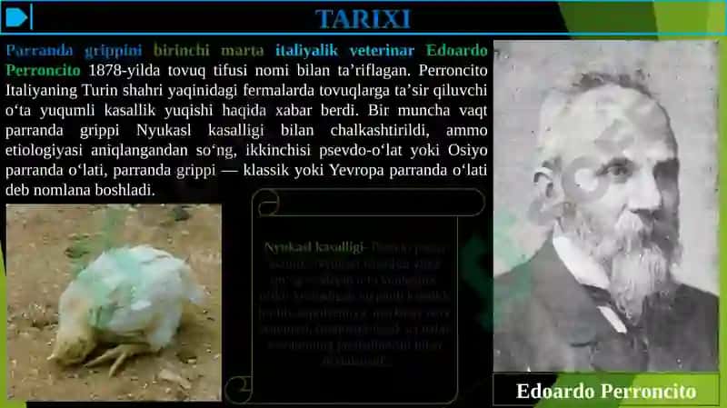 PARRANDA GRIPPI 3