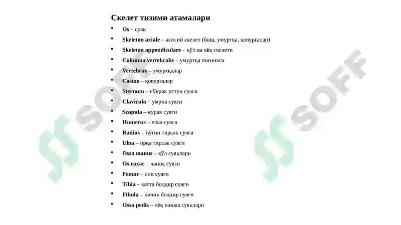 Йўналишватекисликлар 3