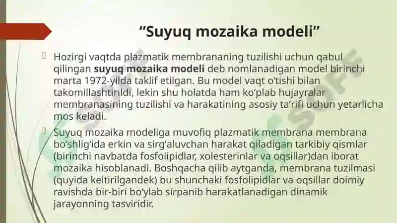 Plazmolemmaning “Suyuqmozaika” modeli 3