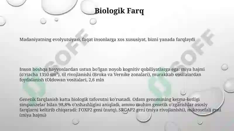 Evolyutsion Taqsimot 3