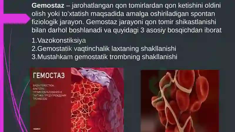 Gemostaz 3