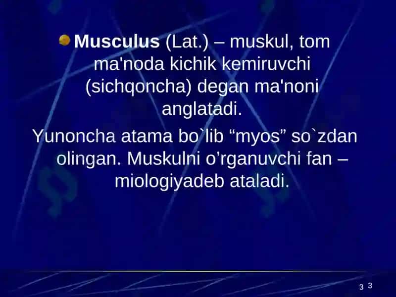 Muskullar sistemasiga umumiy tushuncha. Muskullar sistemasi klassifikatsiyasi, tuzilishi 3