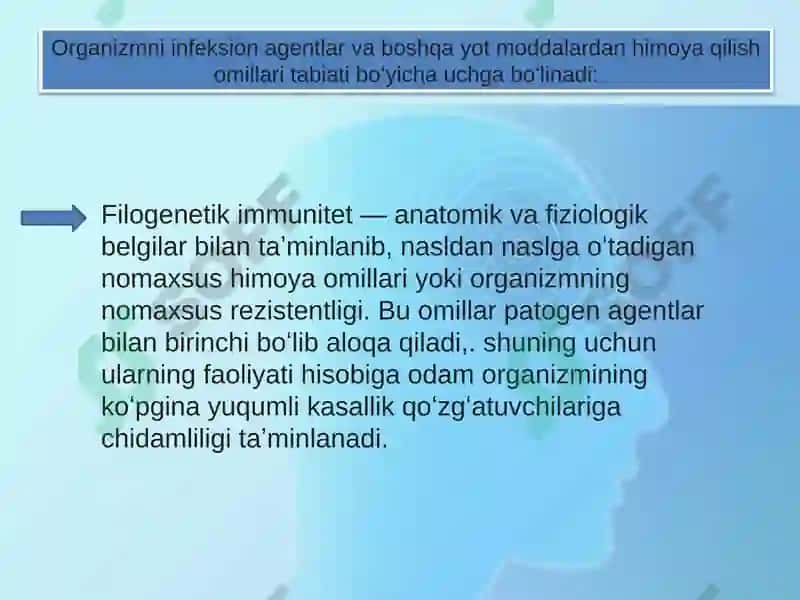 Immunitet nazariyasi 3