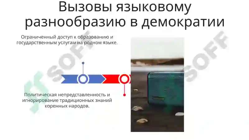 Носитель языка в демократической структуре 3