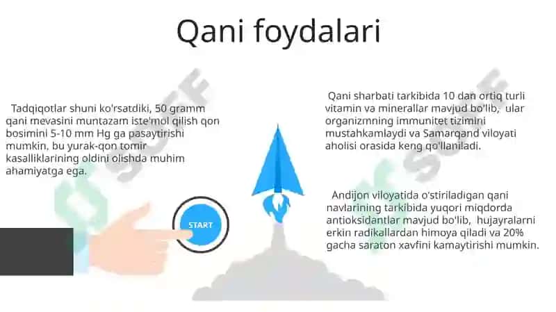 Qani 3