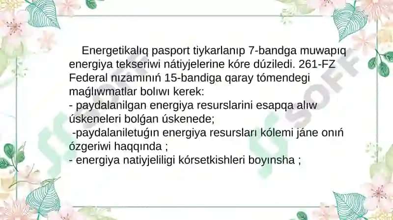 Energetik Pasport 3
