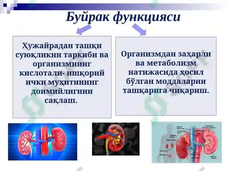Болалар касалликлари пропедевтикаси 3