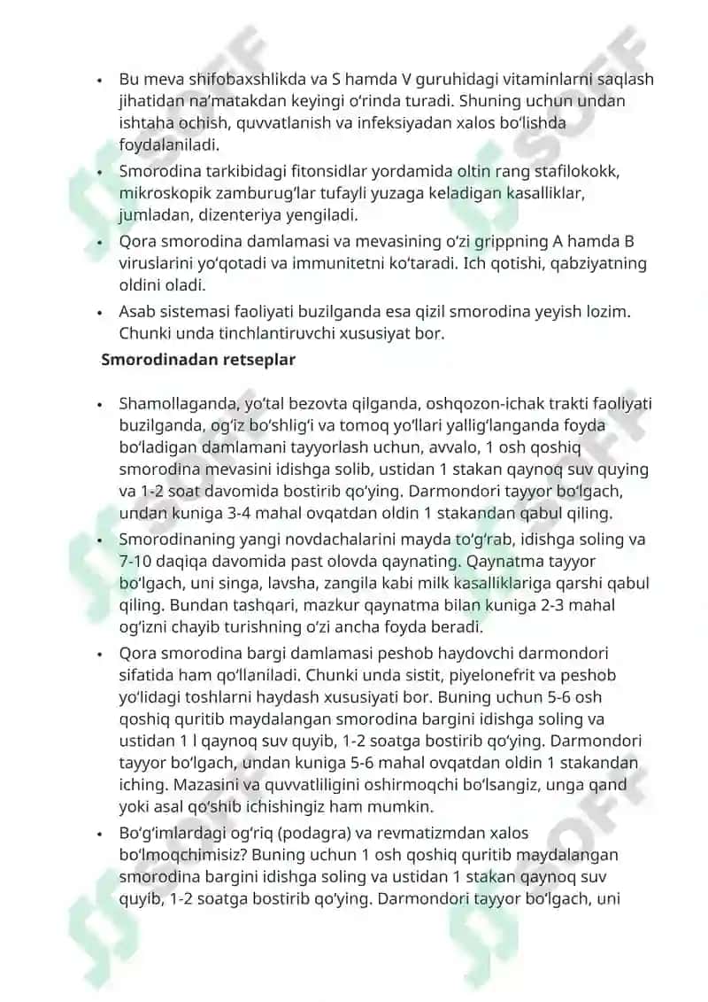 Qora smorodina 3