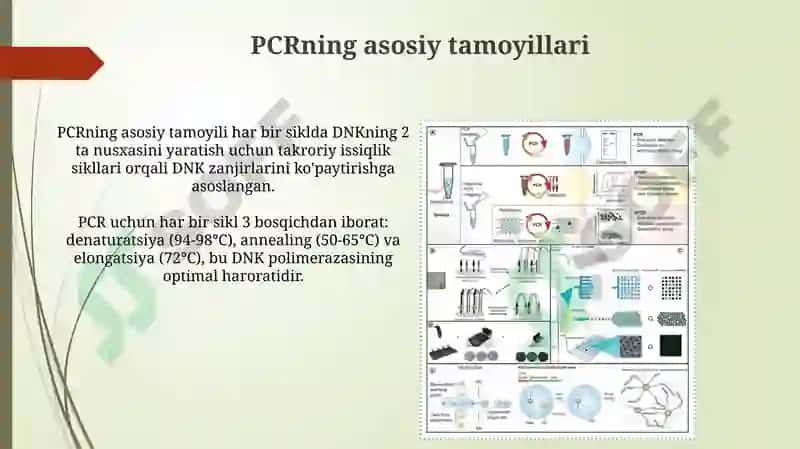 PCRning asosiy tamoyillari 3