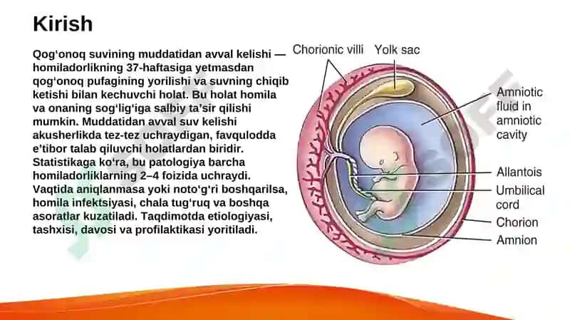 Qo'g'onoq suvining muddatidan avval kelishi 3