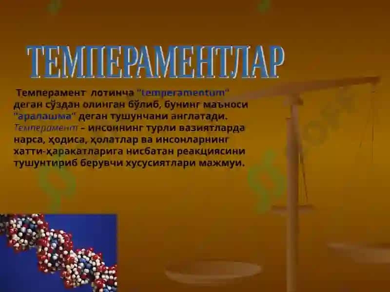 TEMPERAMENT 3