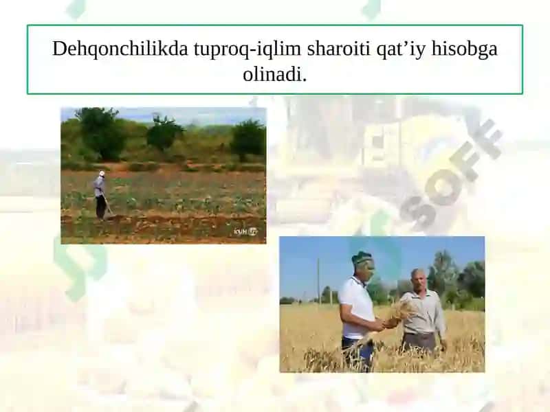 DEHQONCHILIK 3