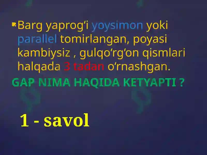 GAP NIMA HAQIDA KETYAPTI? 3