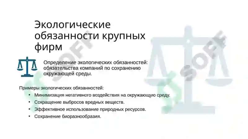 Социальные и экологические обязанности крупных фирм 3