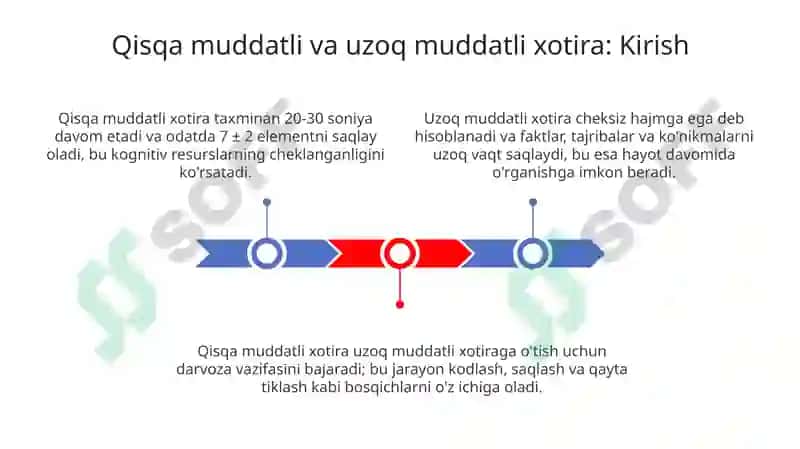 Qisqamuddatli va uzoqmuddatli xotira 3