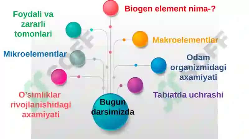 Biogenelementlar va ularning tirik organizmlardagi axamiyati 3