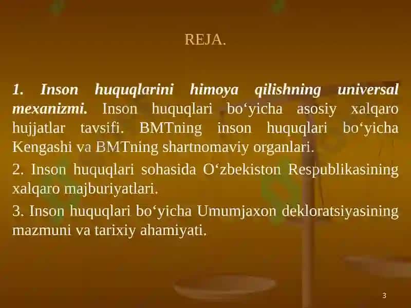 Inson huquqlari bo‘yicha xalqaro standartlar va himoya qilish mexanizmlari 3