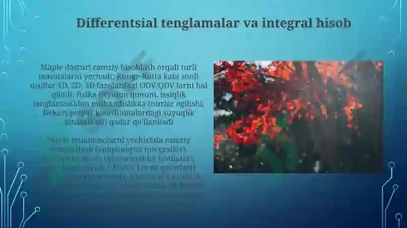 Maple amaliy dasturi 3