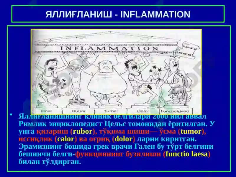 Яллиғланиш. Ўткир ва сурункали яллиғланиш. Яллиғланиш медиаторлари. Яллиғланишнинг морфологик белгилари ва оқибатлари 3