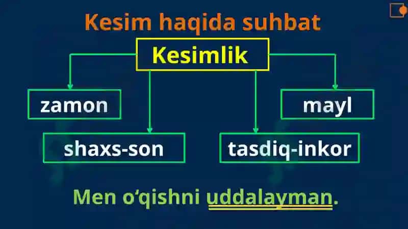 Kesim 3