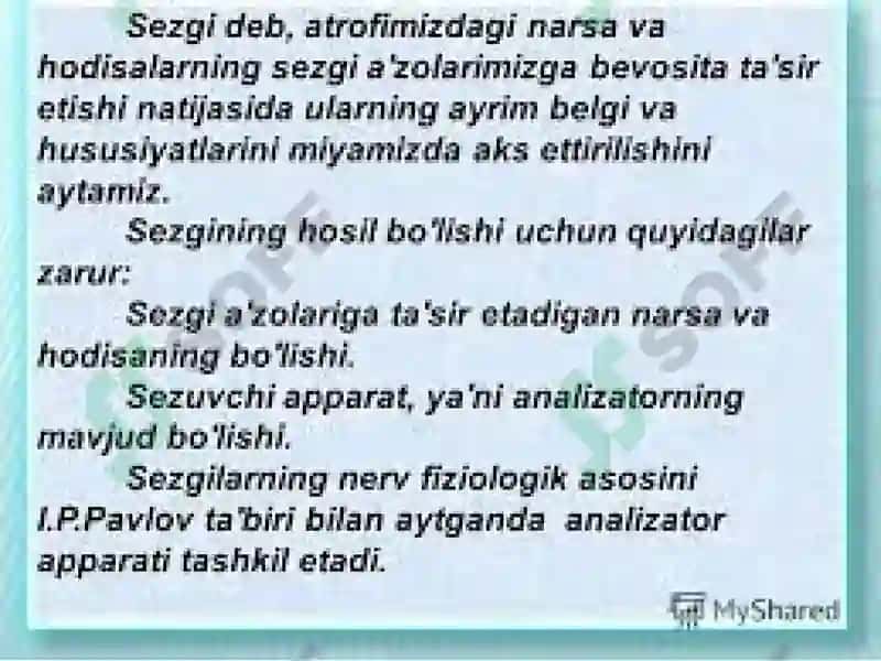 Sezgi turlari va uning qonuniyatlari 3