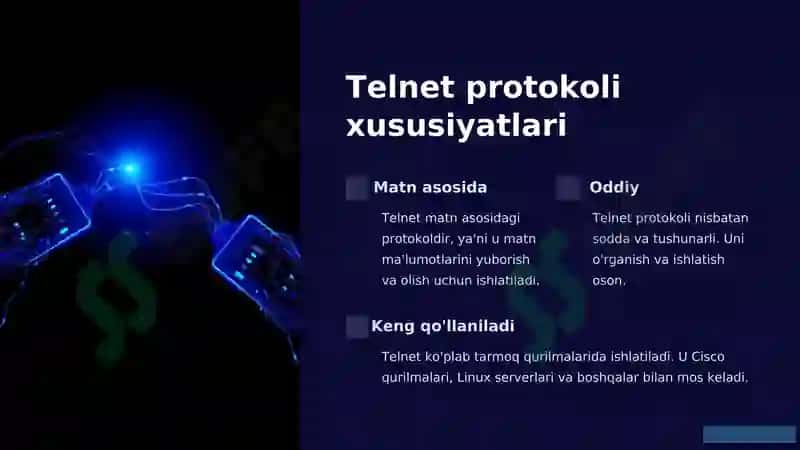 Telnet Protokoli 3