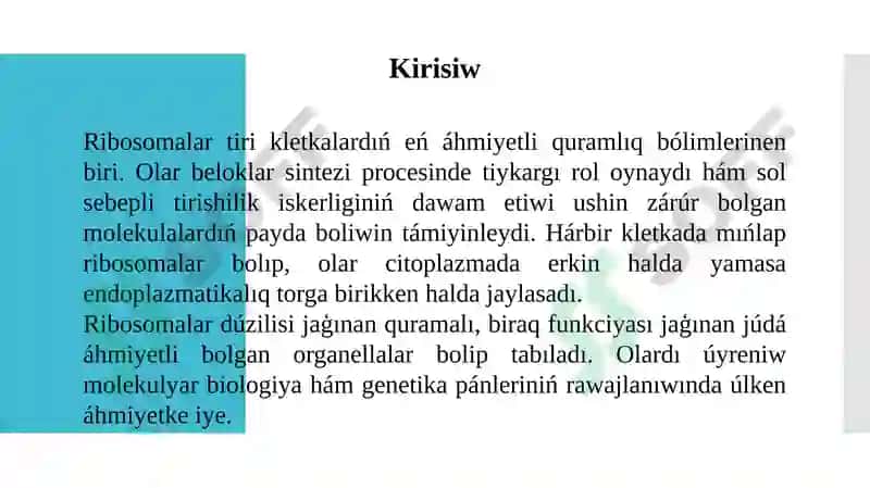 Ribasoma 3