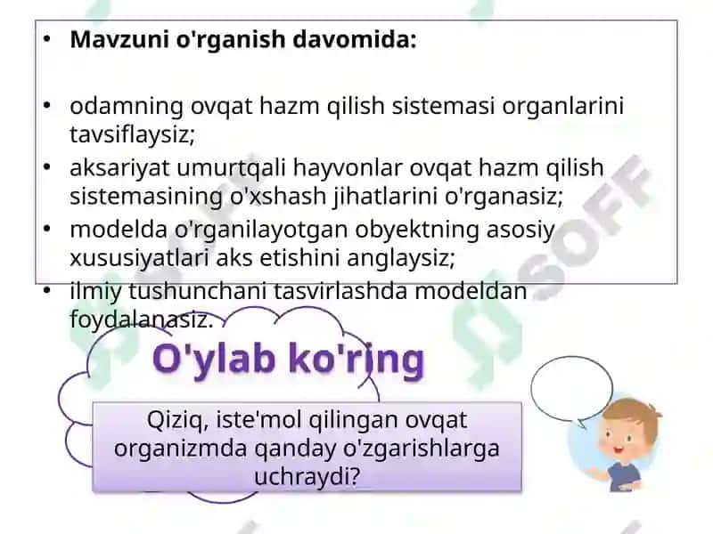 Ovqat hazm qilish tizimi 3