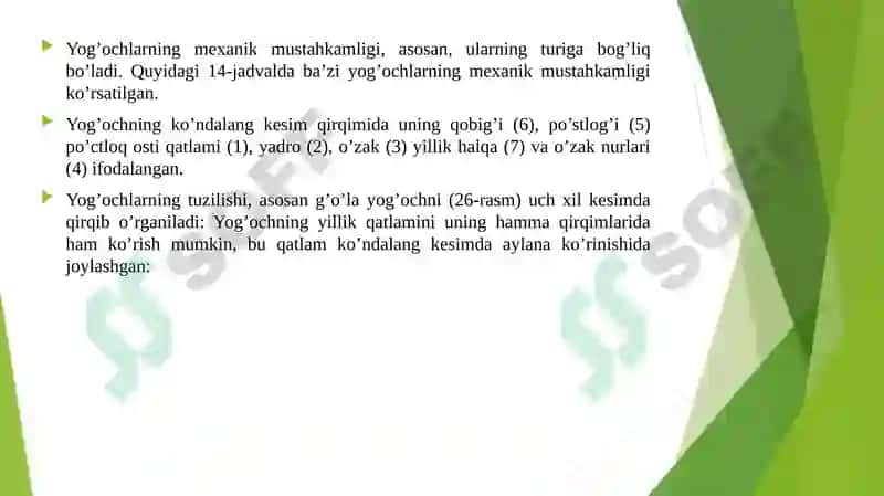 Yog’ochlar tuzilishi 3