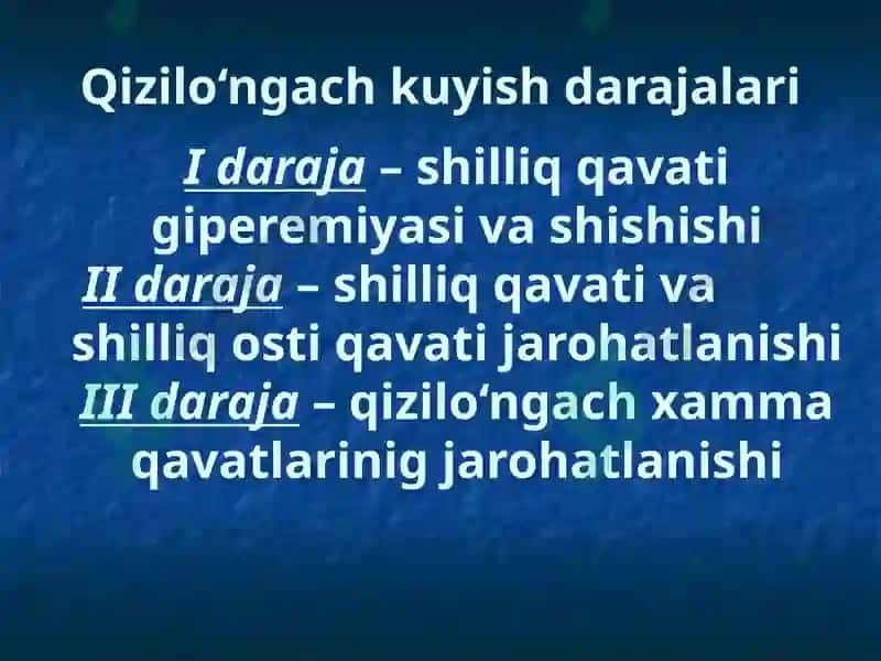 Qizilo‘ngachni ximik va termik kuyishlari 3