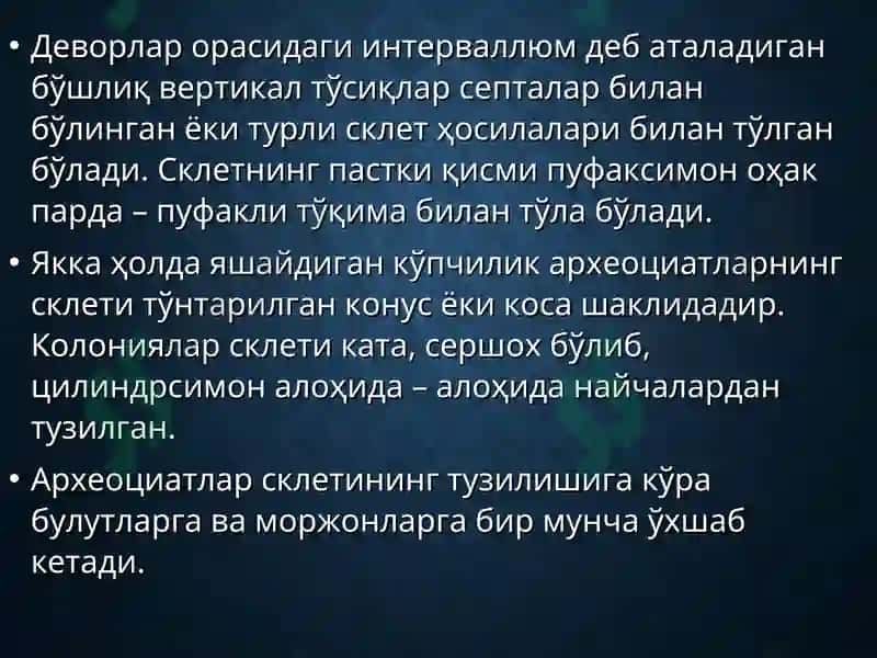 Археоциатлар Типи 3