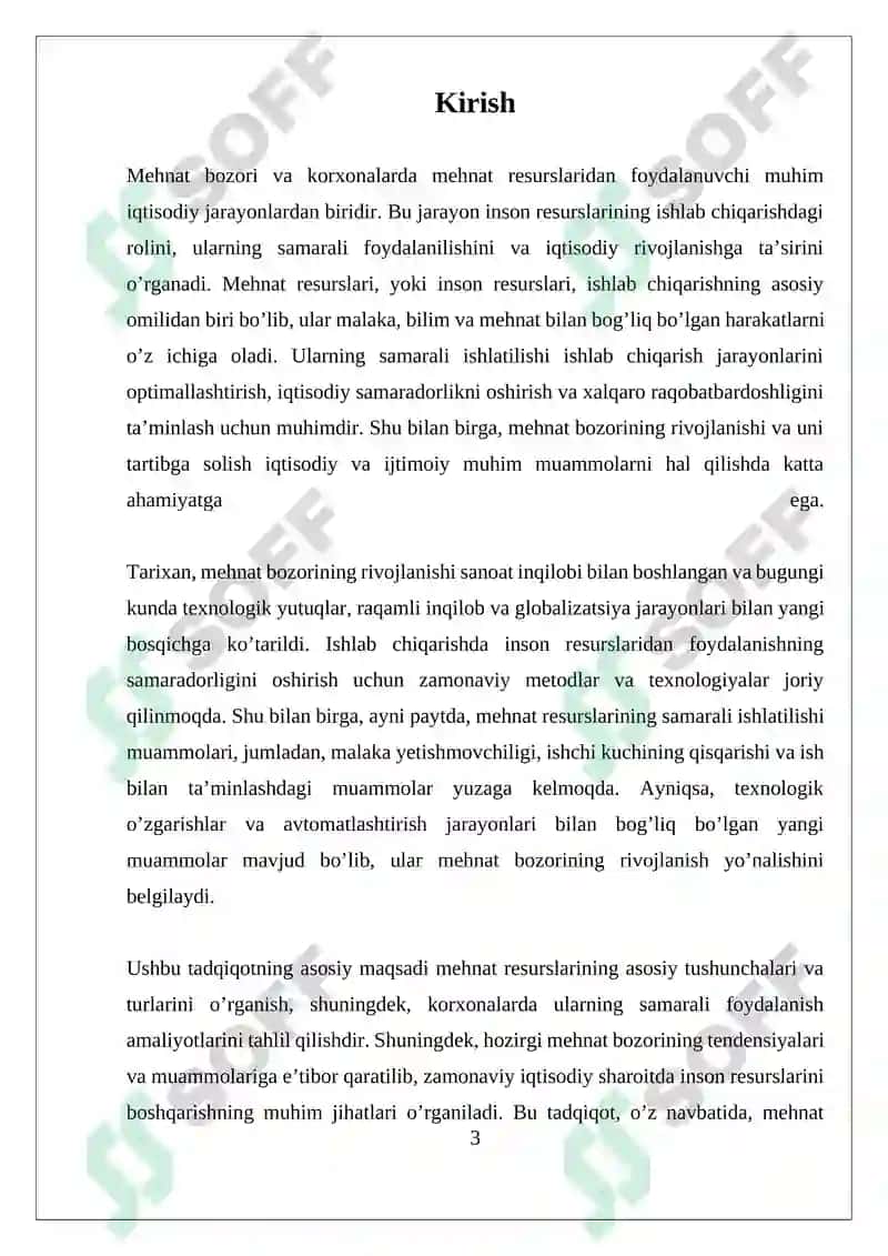 Mehnat Bozori va Korxonalarda Mehnat Resurslaridan Foydalanuvchi 3